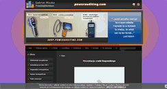 Desktop Screenshot of powerauditing.com